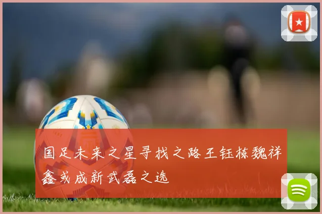 国足未来之星寻找之路王钰栋魏祥鑫或成新武磊之选