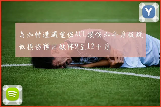 乌加特遭遇重伤ACL损伤加半月板疑似损伤预计缺阵9至12个月